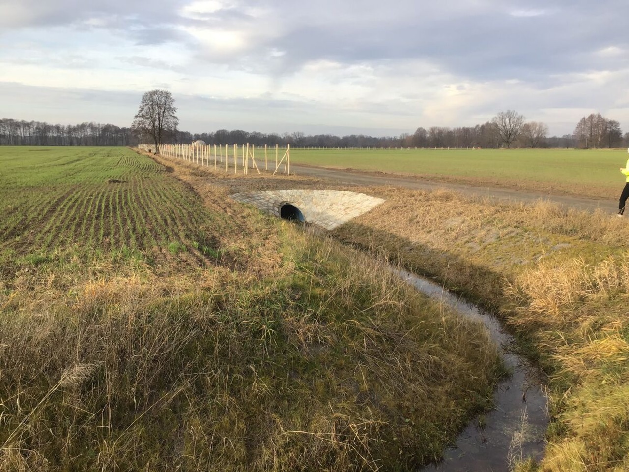 Grabensystem Krieschow Vorwerk