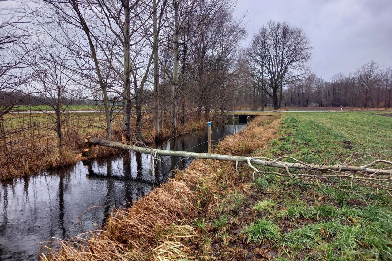 landgraben1
