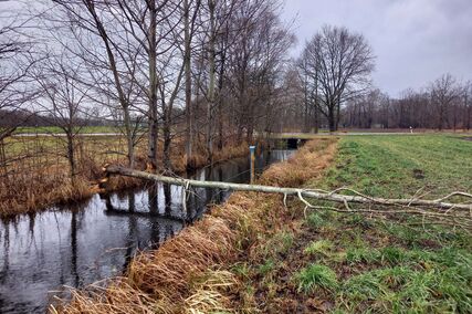 landgraben1