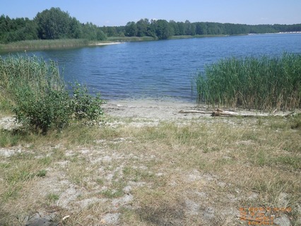 Einleitstelle am Ufer des Großsees.jpg