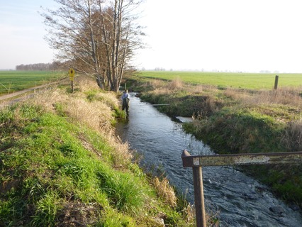 Gewässerentwicklungskonzept Plane-Buckau - Vermessung.jpg
